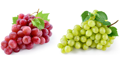 Capture d'écran_20250916_185408