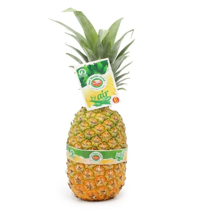 Capture d'écran_20251008_105509